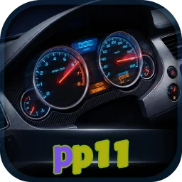 pp11